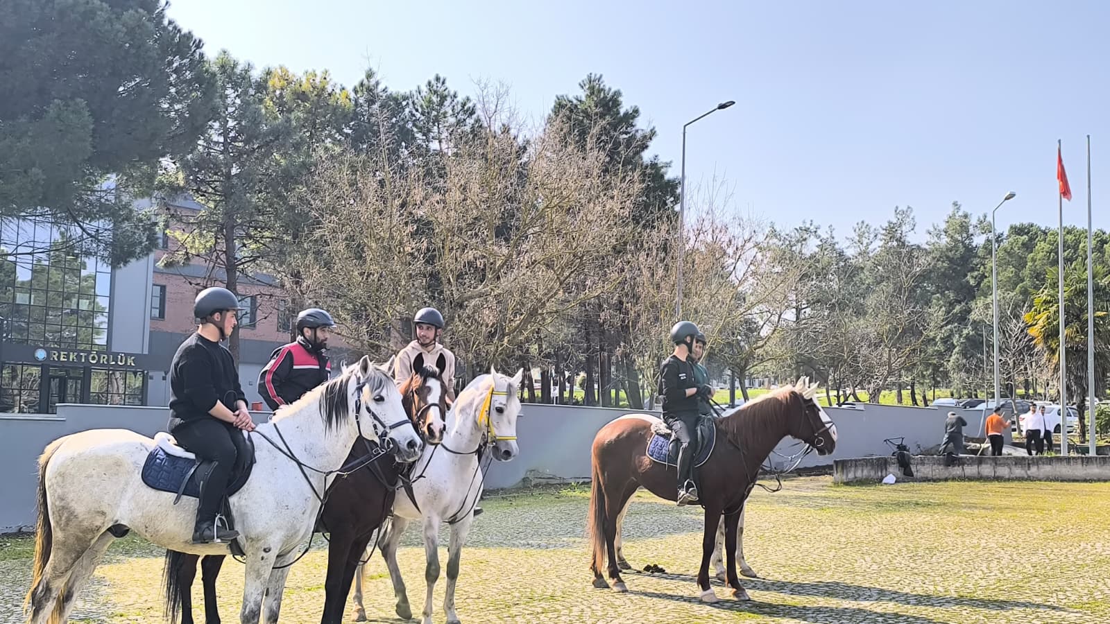 WhatsApp Image 2026-03-30 at 16.05.35! ?? 