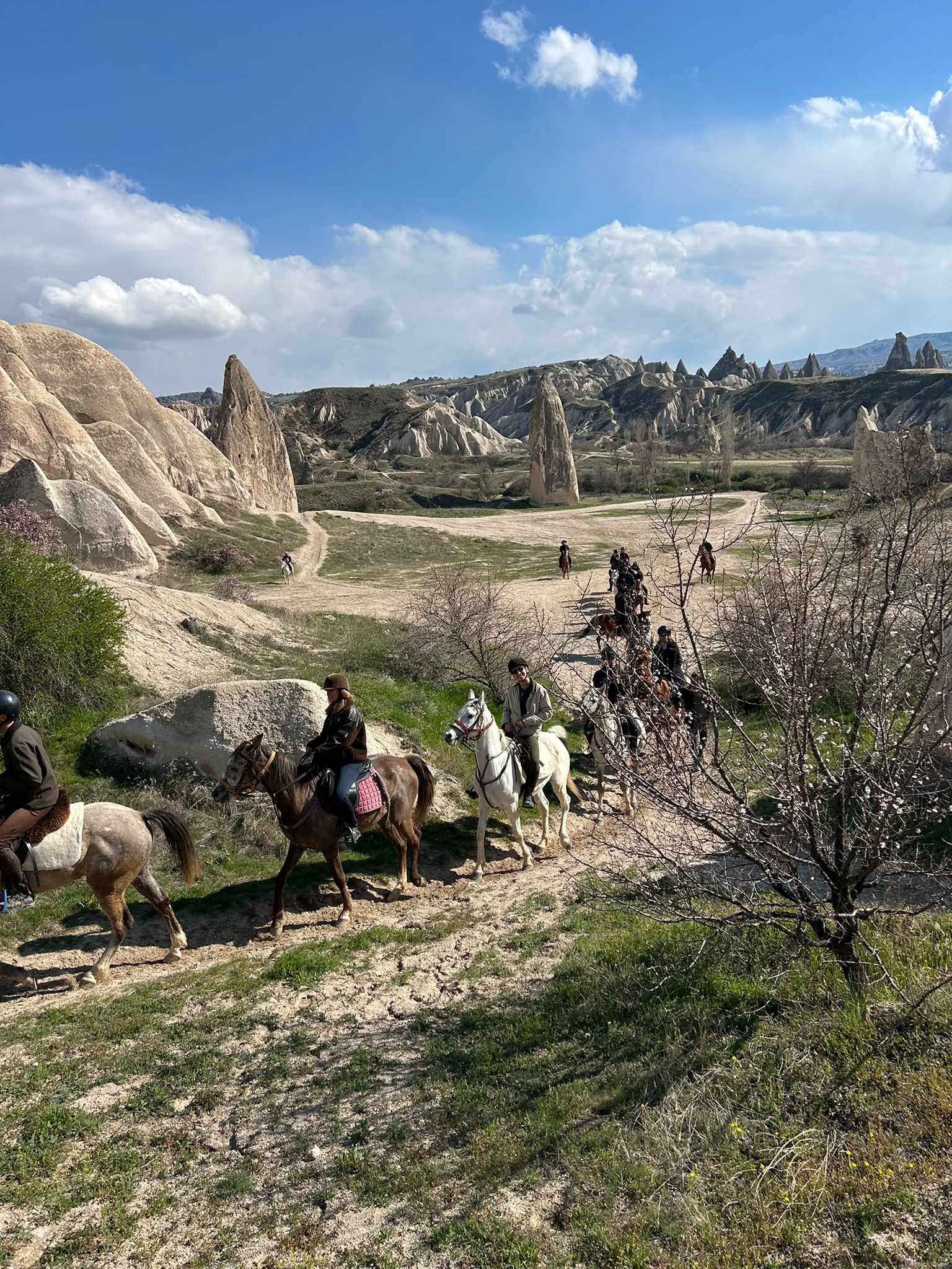 WhatsApp Image 2026-04-16 at 16.27.27! ?? 