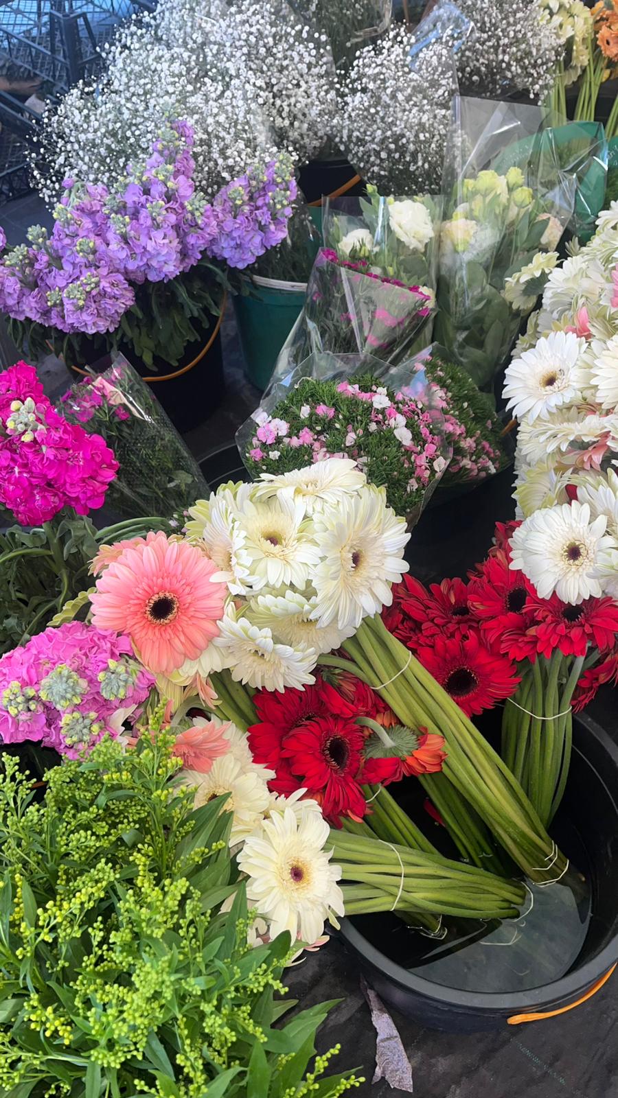 WhatsApp Image 2026-03-11 at 11.10.29! ?? 