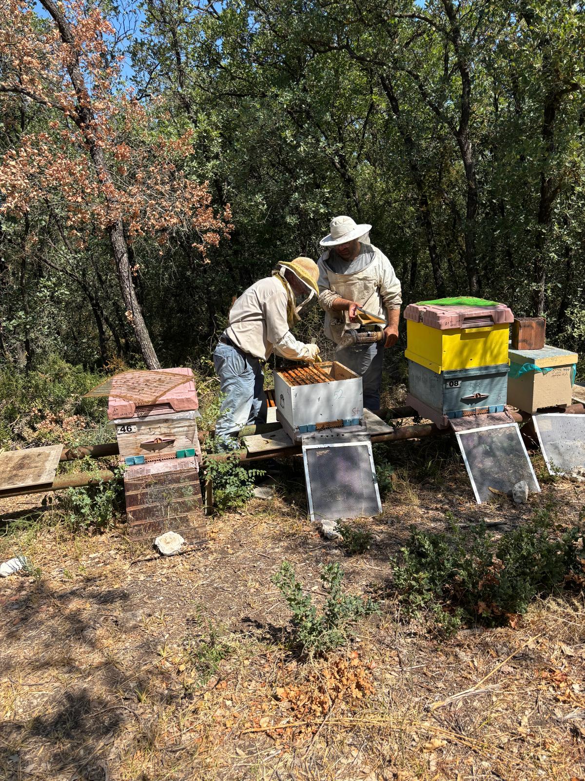 Apiterapi Ders Uygulaması