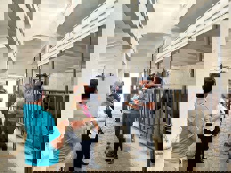 ! ?? 