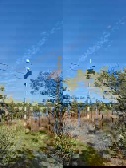 ! ?? 