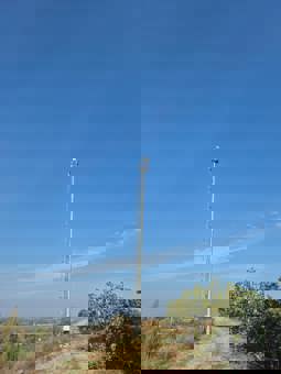 ! ?? 