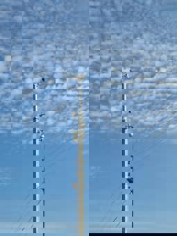 ! ?? 