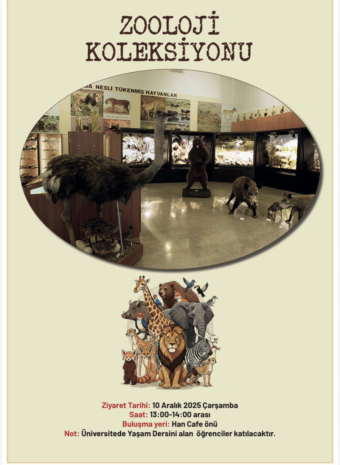 Üniversitede Yaşam dersi öğrencilerine yönelik