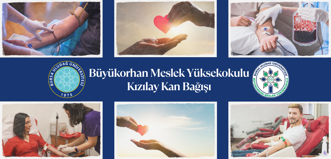 Kan Bağışı
