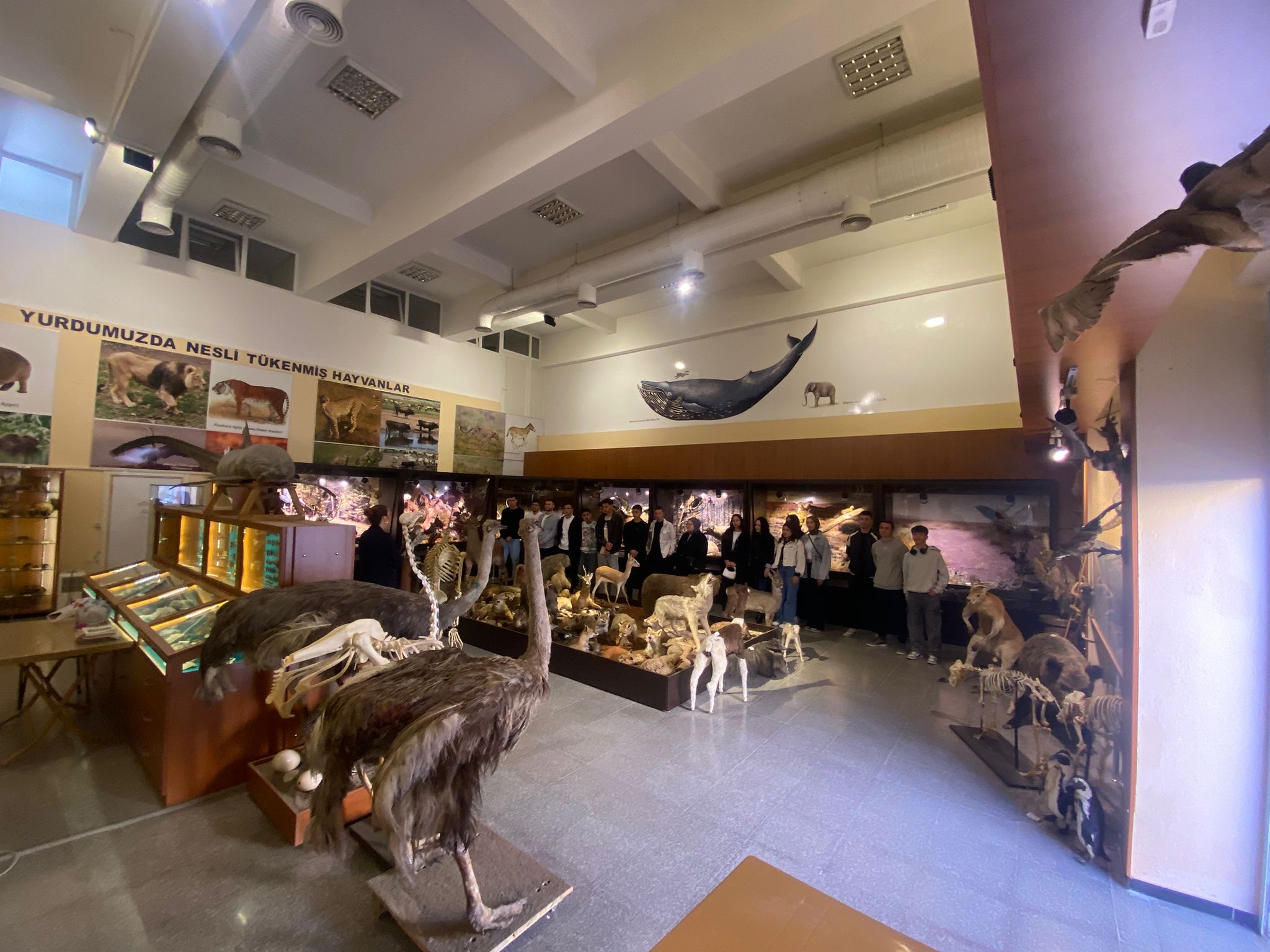 cf537ffa-2fb6-41b2-9499-4f49125b07a5! ?? 