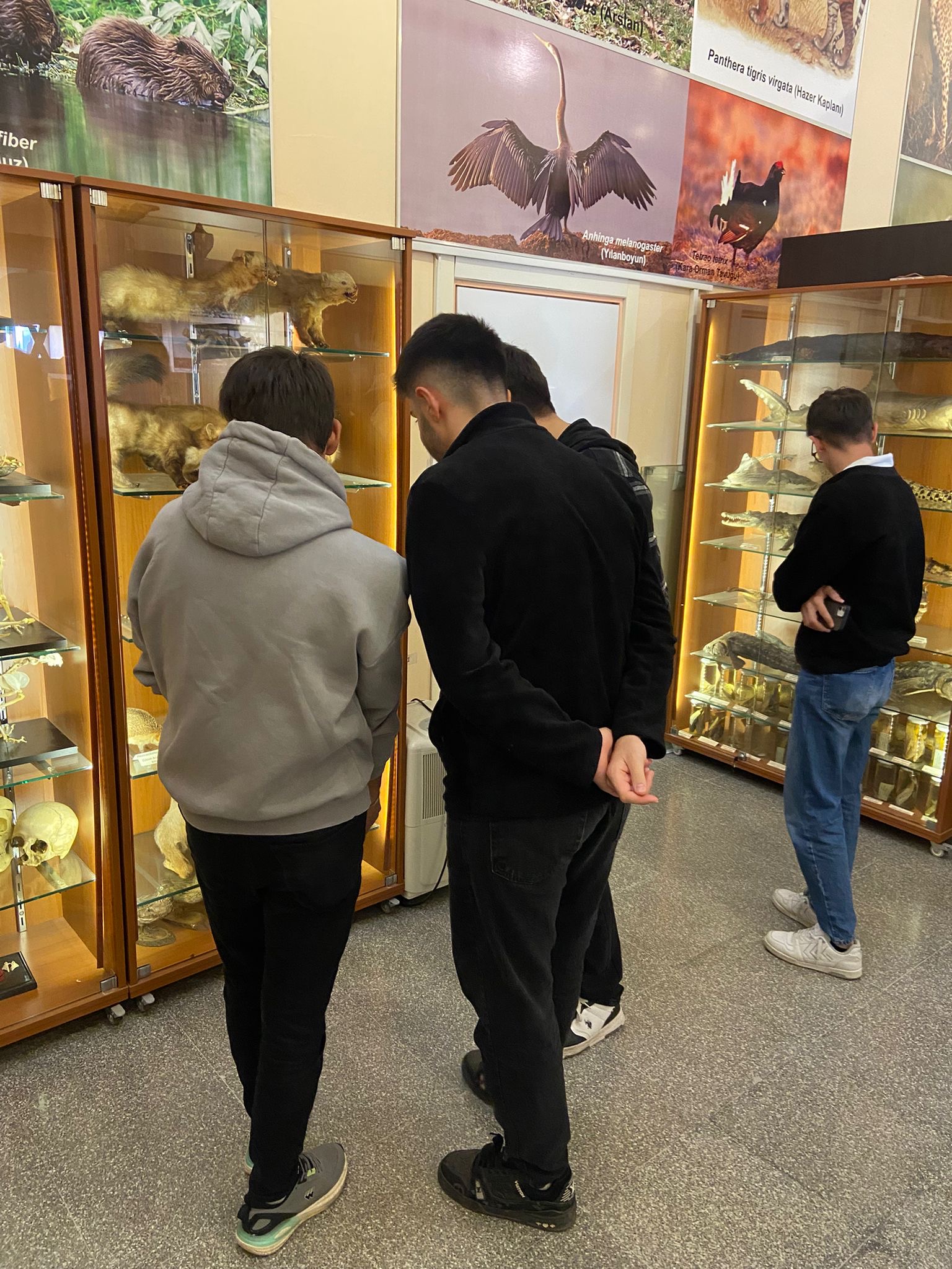 cd563d85-df27-415c-b5e6-4d5cfc18c983! ?? 