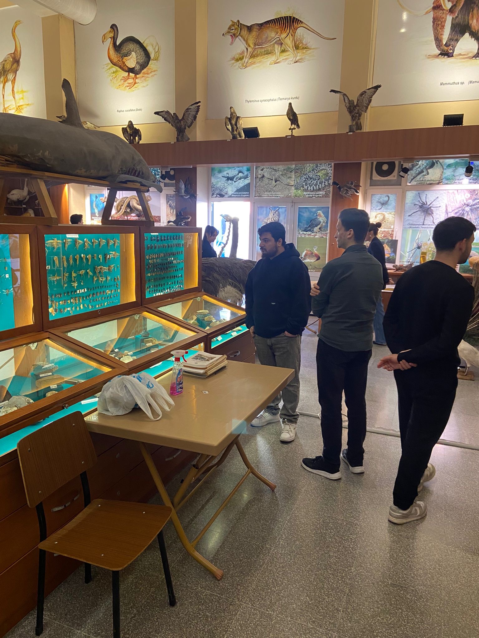 ffdaade0-0370-4136-a514-5eac7bc9b4f8! ?? 