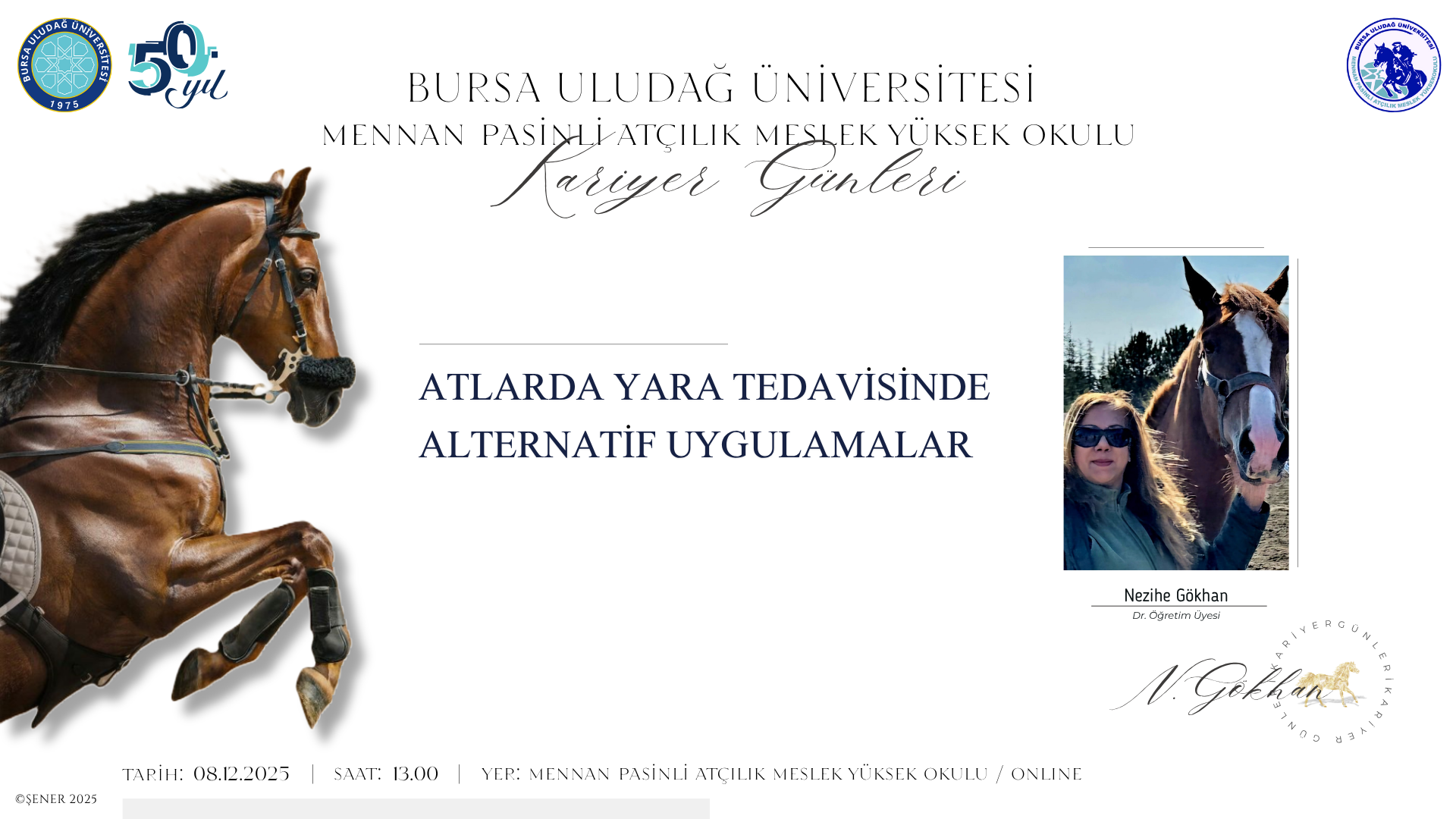 ATLARDA YARA TEDAVİSİNDE ALTERNATİF UYGULAMALAR