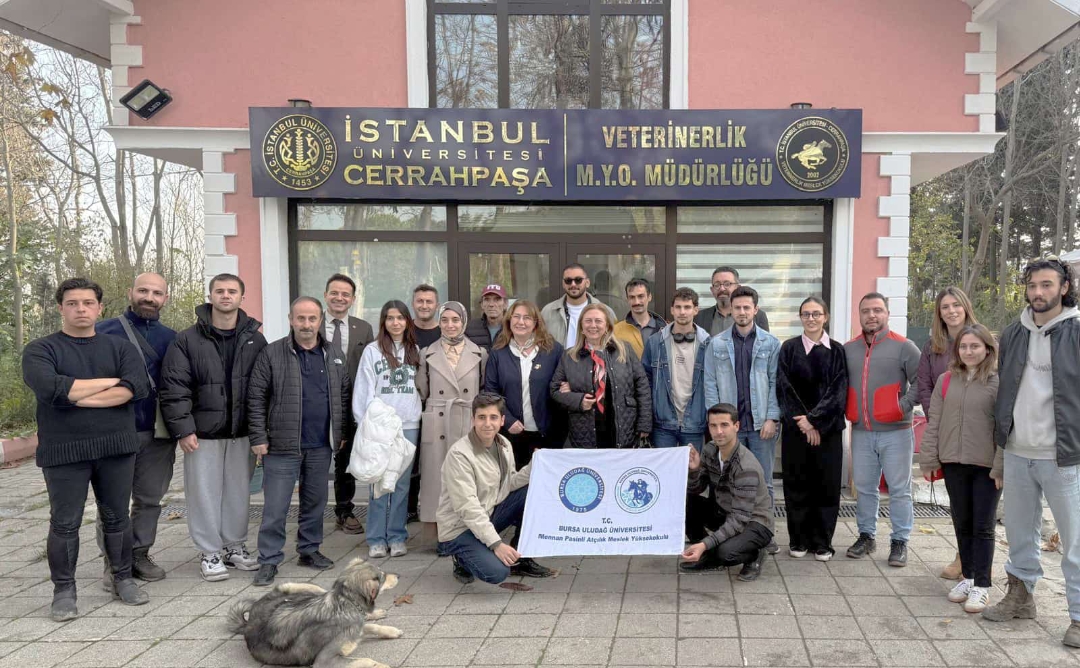 WhatsApp Image 2025-12-03 at 14.39.02! ?? 