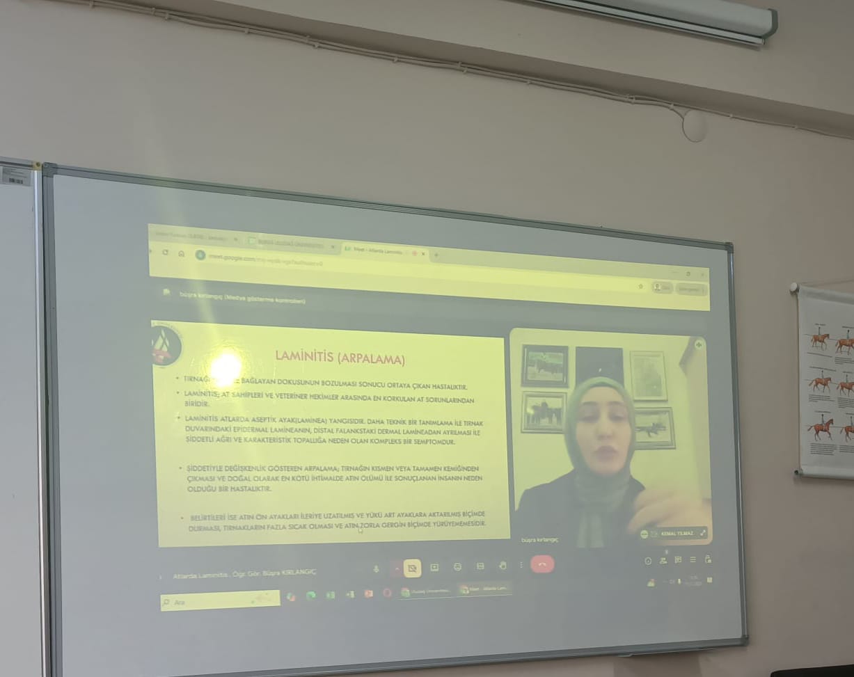 WhatsApp Image 2025-12-15 at 15.18.36! ?? 