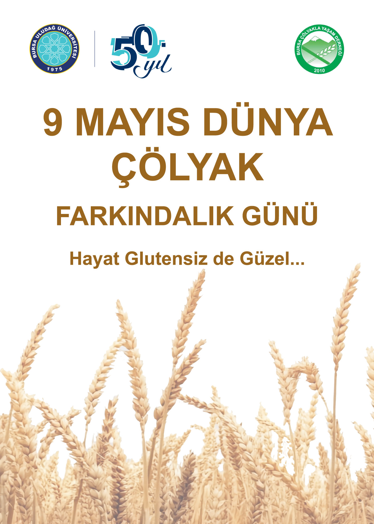 9 MAYIS ÇÖLYAK FARKINDALIK GÜNÜ