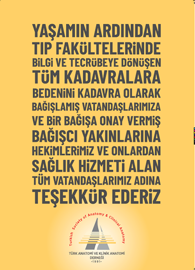 Beden Bağışı