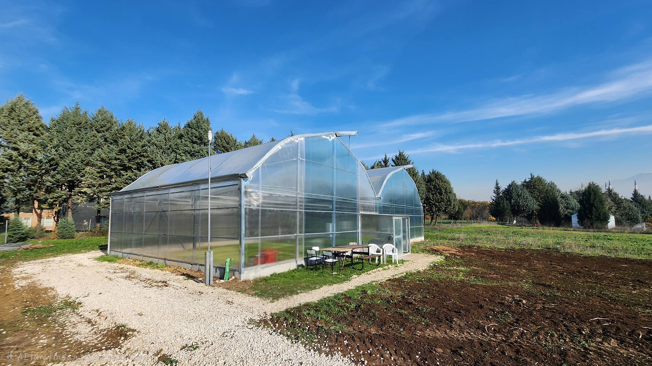 202512251142260913! ?? 